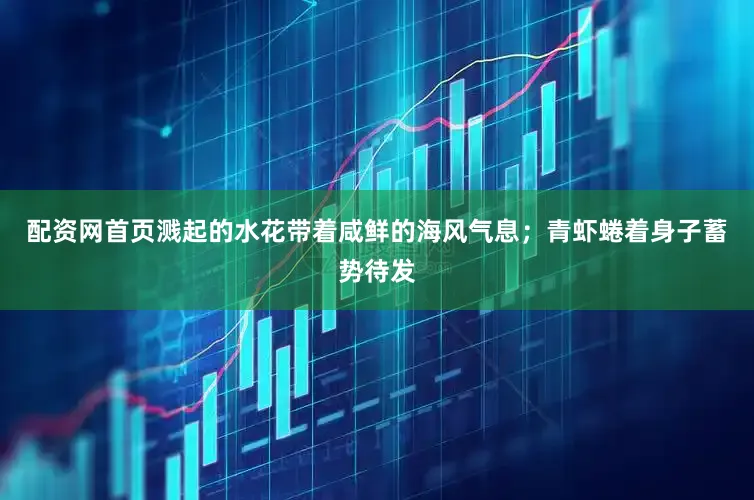 配资网首页溅起的水花带着咸鲜的海风气息;青虾蜷着身子蓄势待发