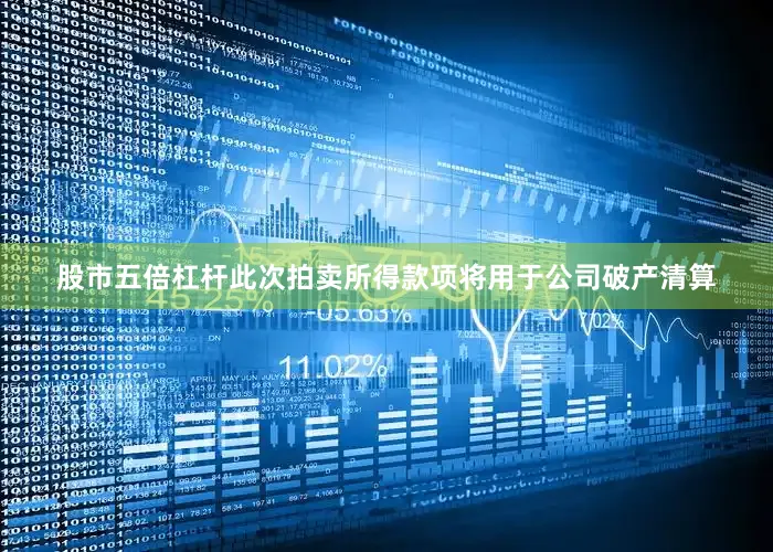 股市五倍杠杆此次拍卖所得款项将用于公司破产清算