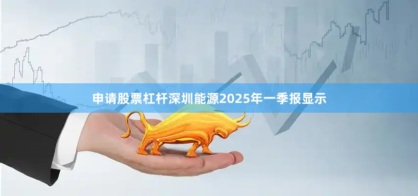 申请股票杠杆深圳能源2025年一季报显示