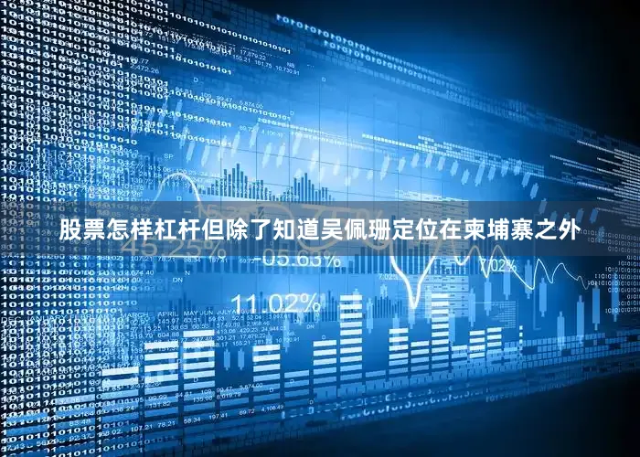 股票怎样杠杆但除了知道吴佩珊定位在柬埔寨之外
