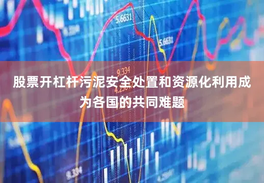 股票开杠杆污泥安全处置和资源化利用成为各国的共同难题